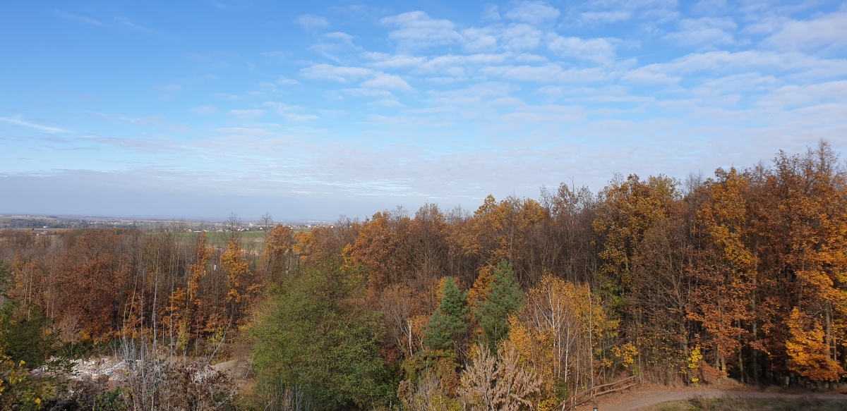 Výhled od rozhledny Bára