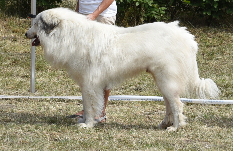 001 – kopie