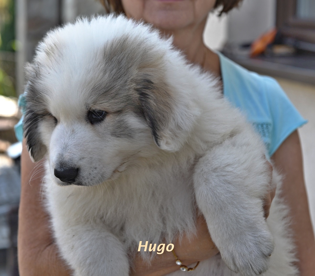5 Hugo