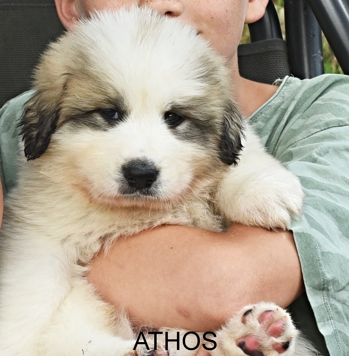 1Athos