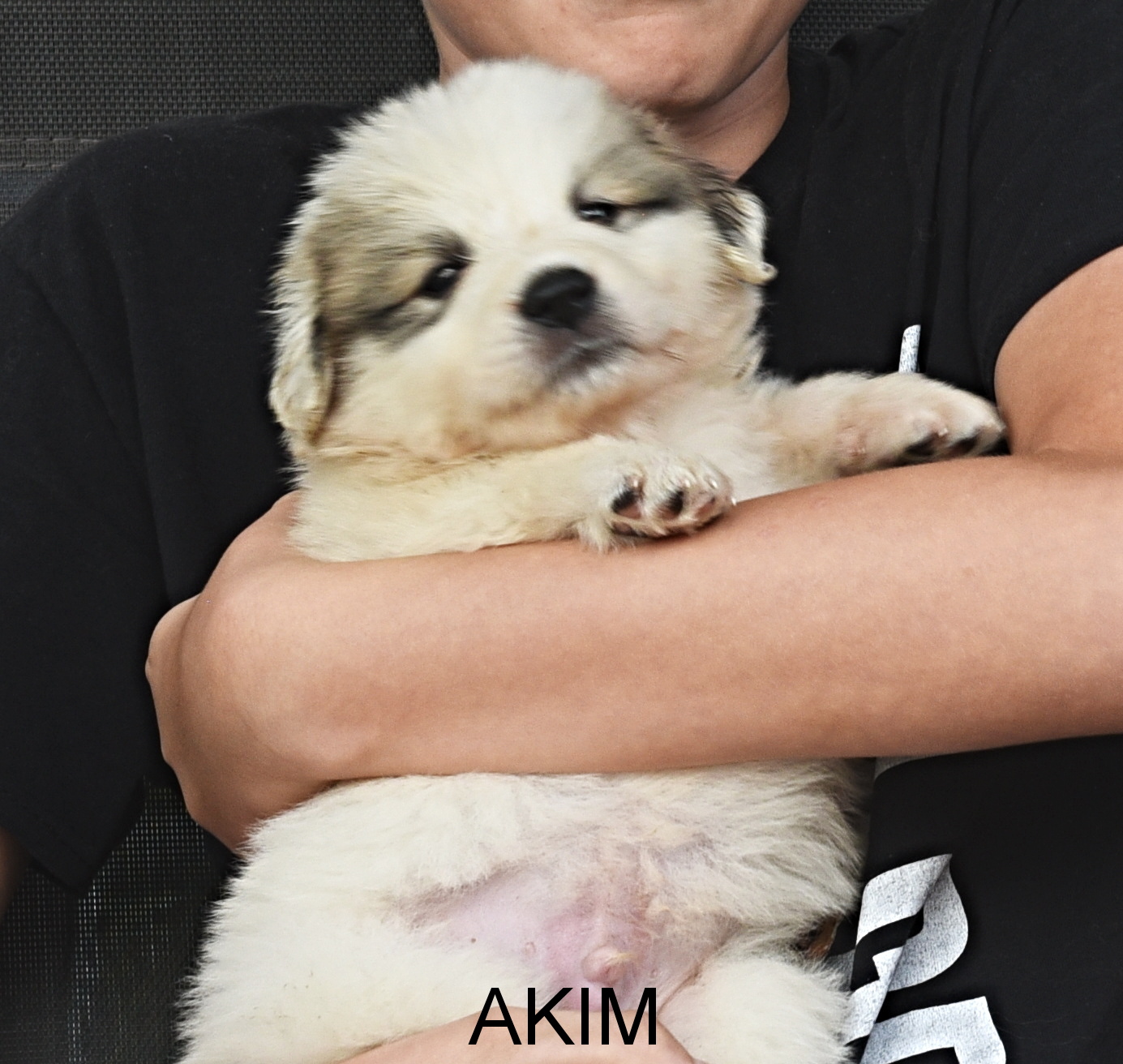 2Akim