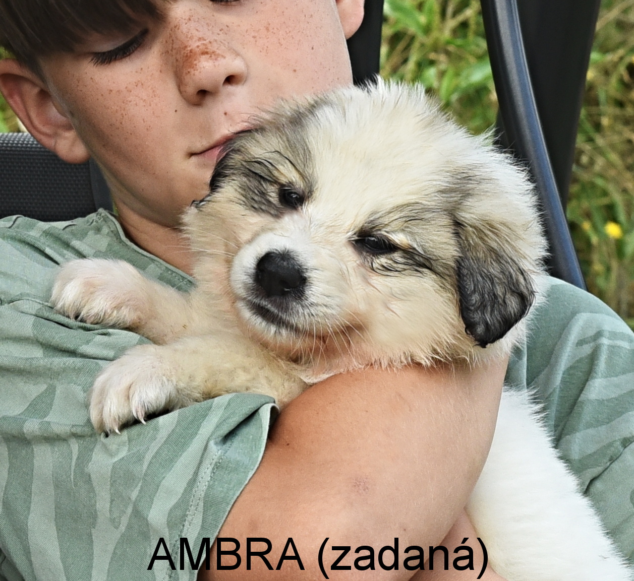 10Ambra